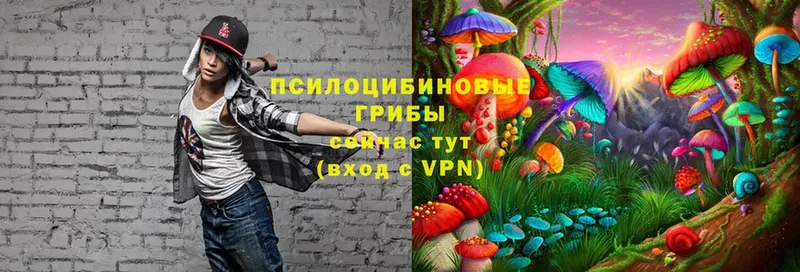 Галлюциногенные грибы MAGIC MUSHROOMS  сколько стоит  OMG как зайти  Нефтекумск 